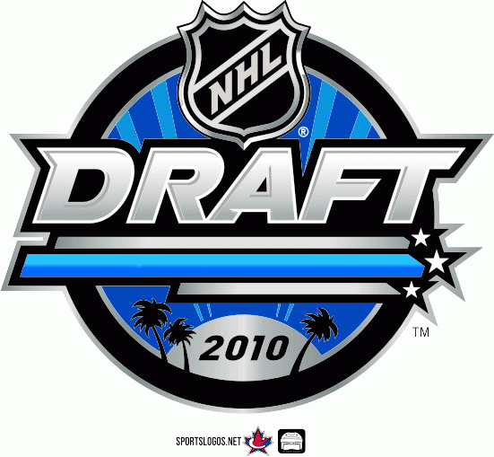 NHL Draft 2010 Primary Logo iron on transfers for clothing